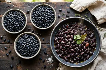 Black beans nutrition varieties