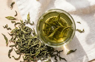 Green tea for weight loss