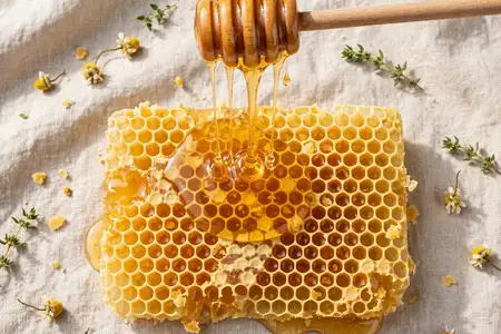 Honey nutrition honeycomb
